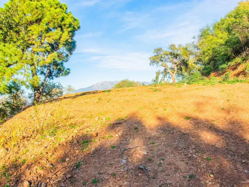 Plot 708 with project in La Mairena.