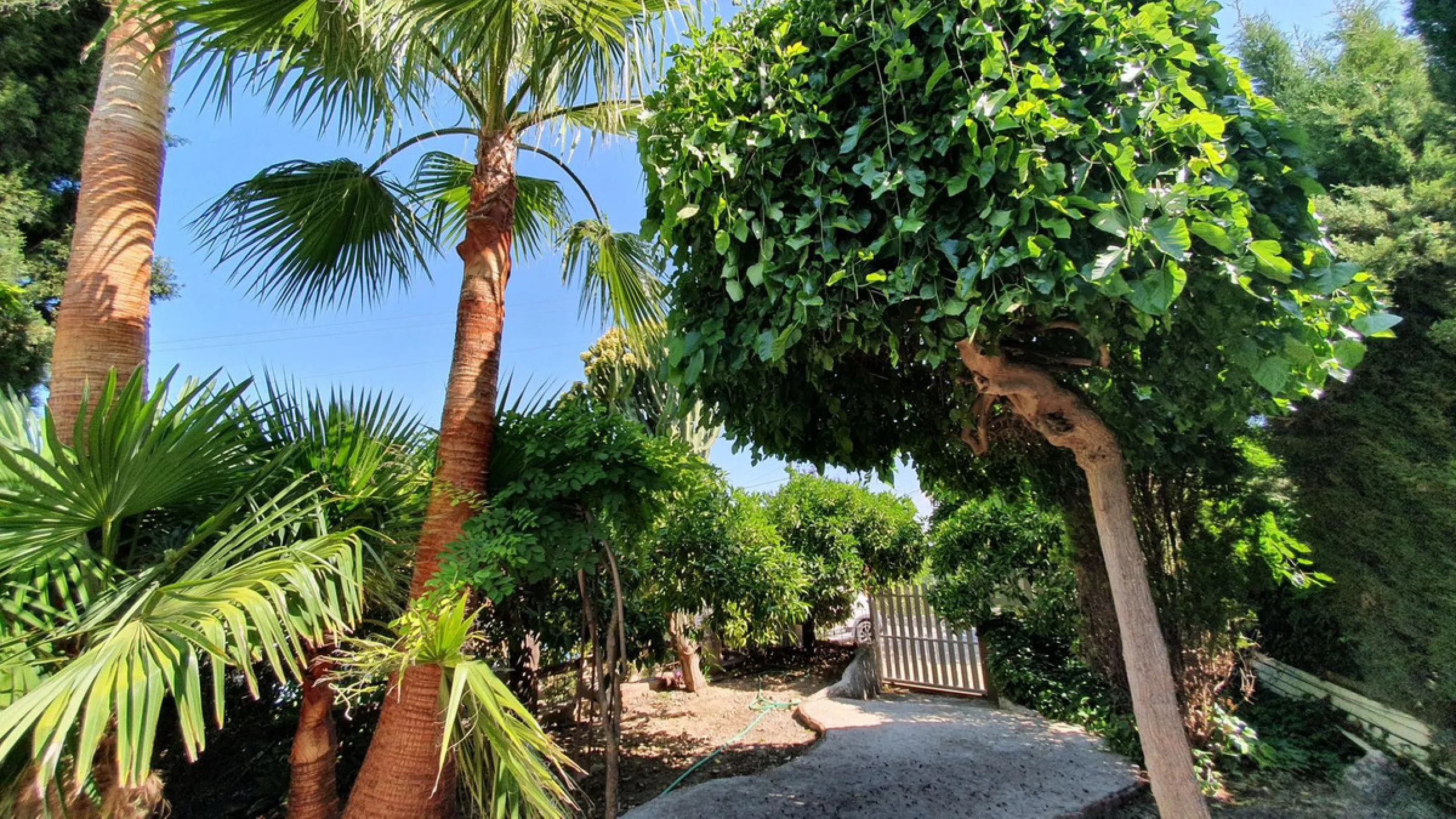 Charming Country Property for sale featuring two houses and two apartments, along with two swimming pools. This property holds a licence for rural tourism and is conveniently located very close to the town, surrounded by a fence ensuring privacy and secur