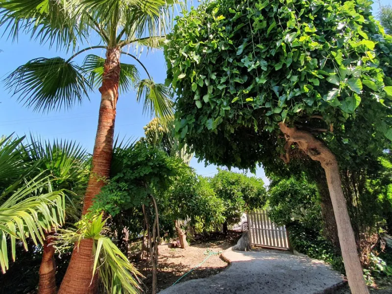 Charming Country Property for sale featuring two houses and two apartments, along with two swimming pools. This property holds a licence for rural tourism and is conveniently located very close to the town, surrounded by a fence ensuring privacy and secur