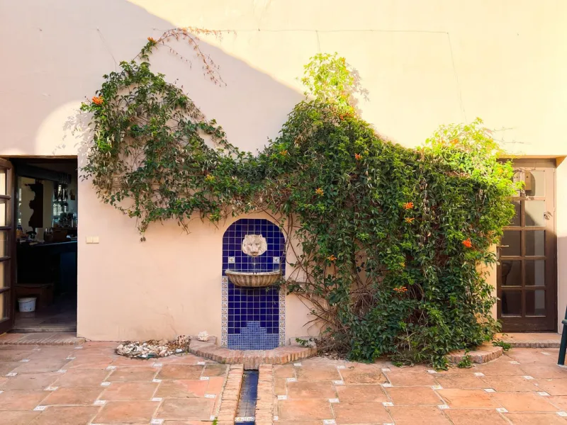 Финка, Estepona, Costa del Sol