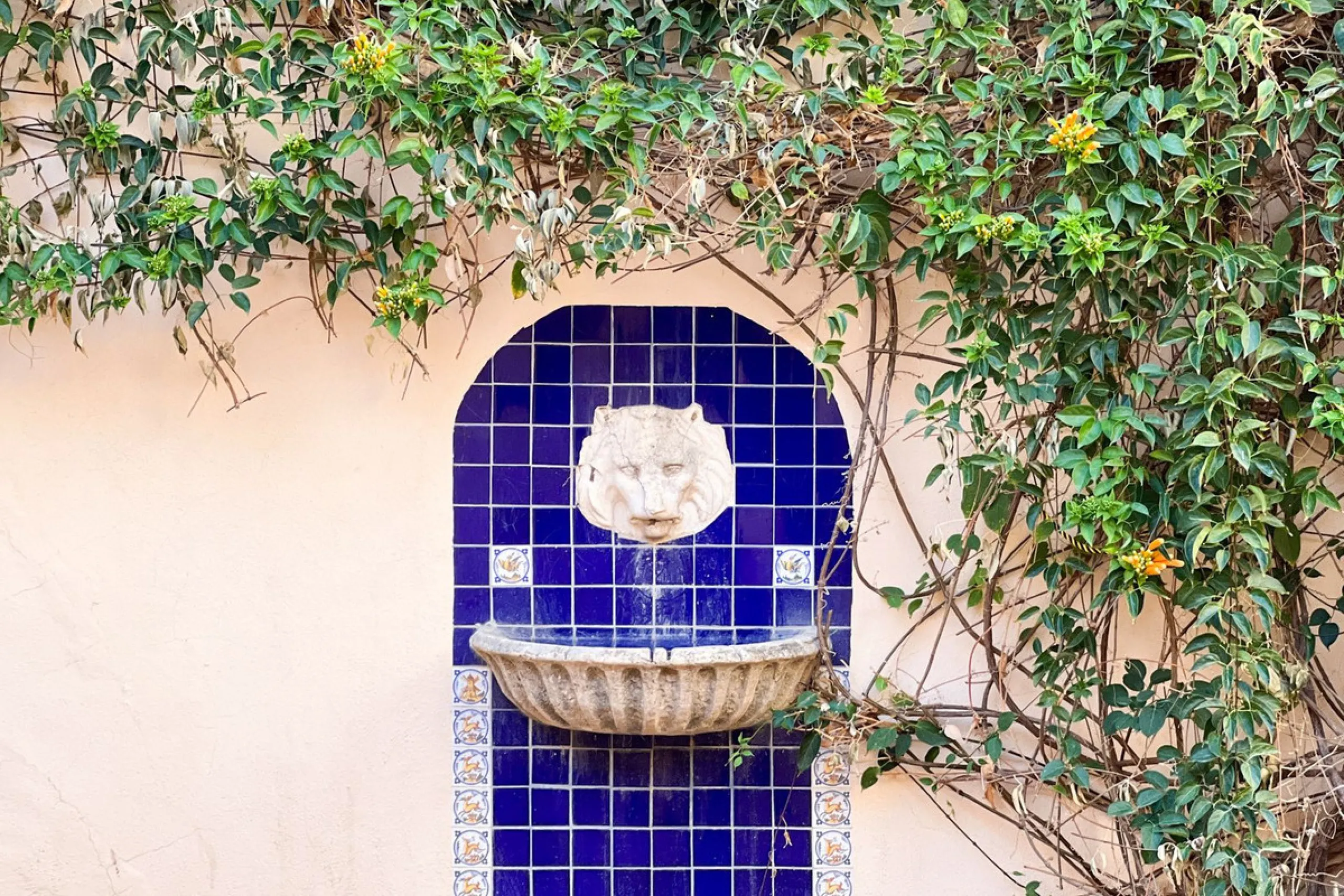 Финка, Estepona, Costa del Sol