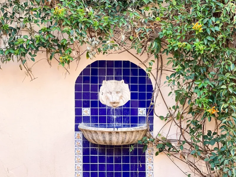 Финка, Estepona, Costa del Sol