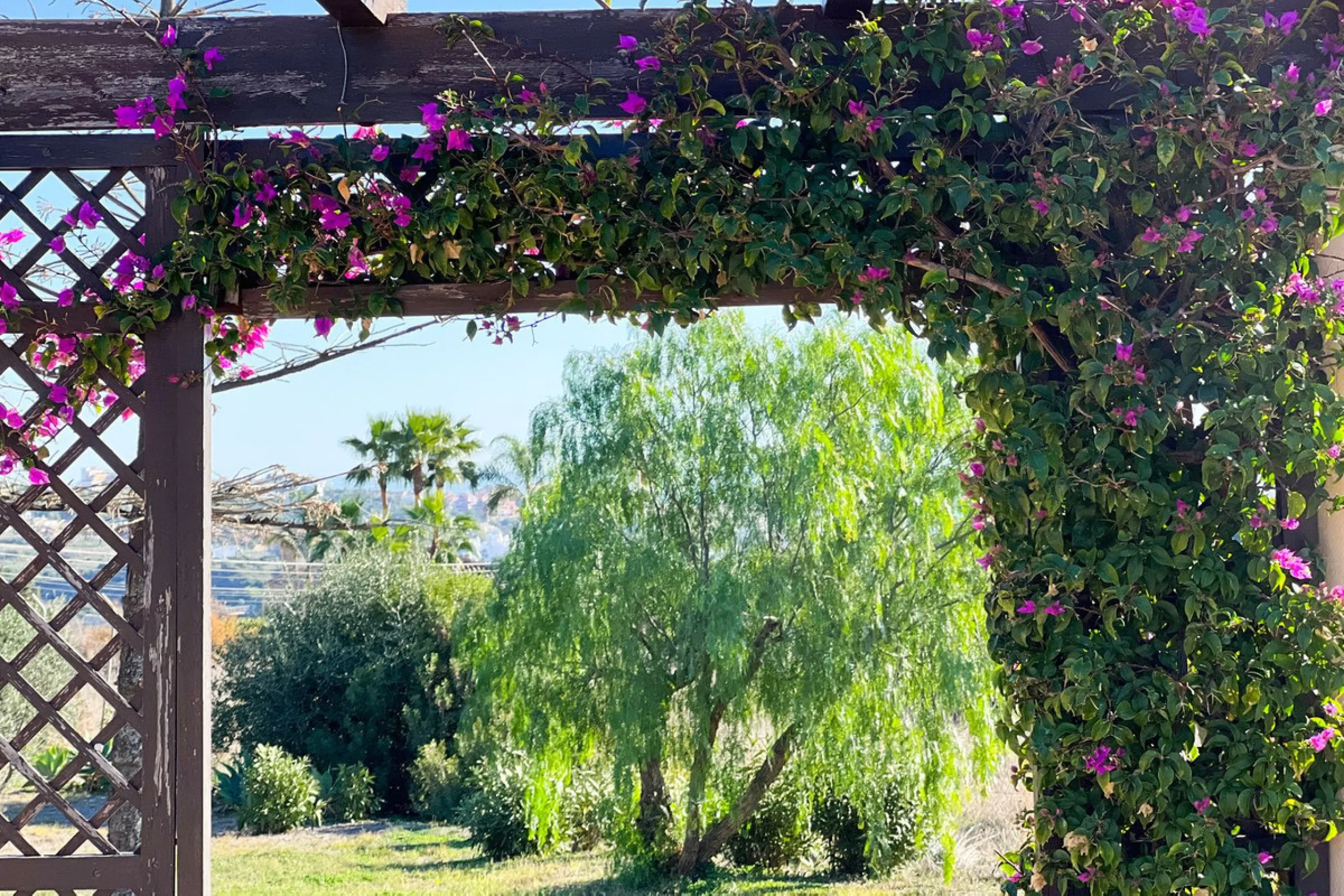 Финка, Estepona, Costa del Sol
