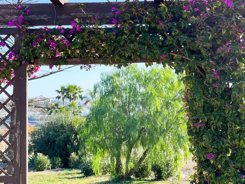 Финка, Estepona, Costa del Sol