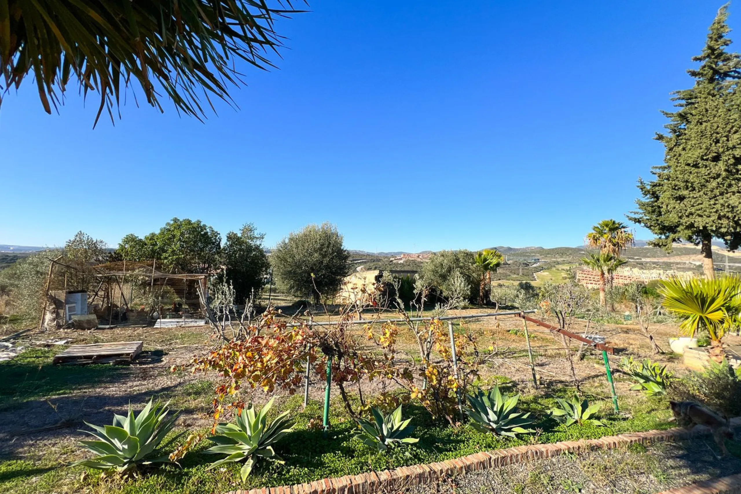 Финка, Estepona, Costa del Sol