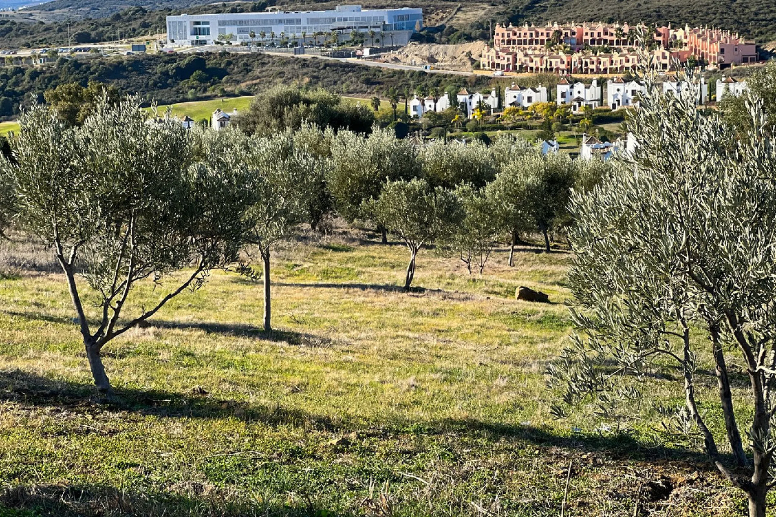 Финка, Estepona, Costa del Sol