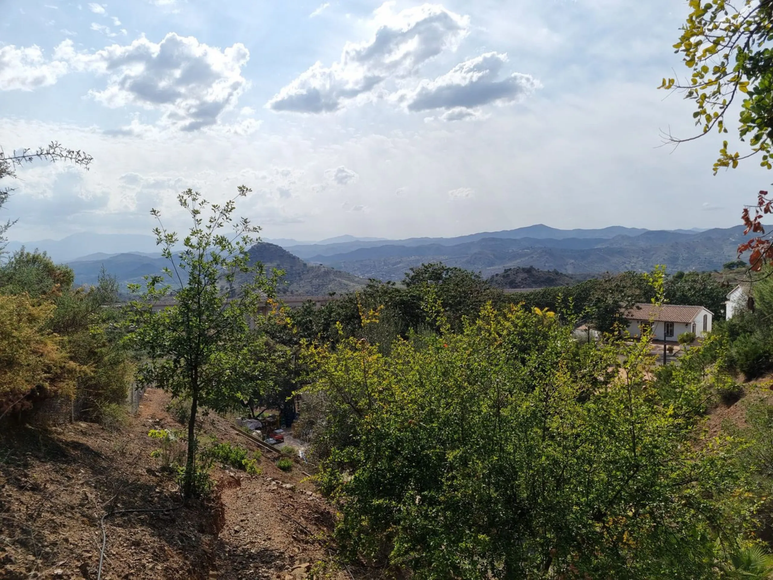 Welcome to this magnificent FINCA RUSTICA SUPERIOR WITH 15 ROOMS AND EVENT ROOM in full operation with the beautiful mountains of Malaga.