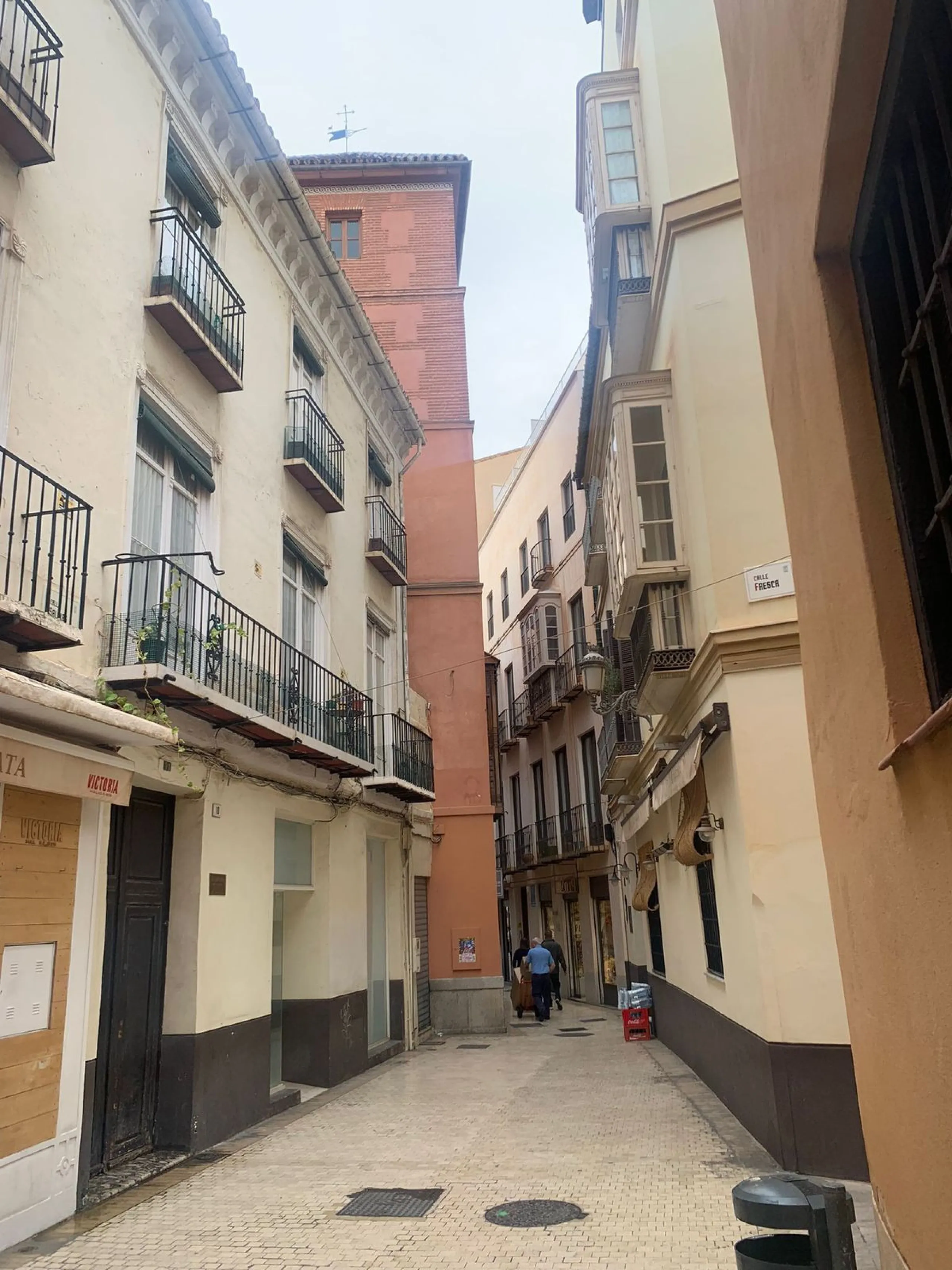 INVESTMENT OPPORTUNITY, MÁLAGA CITY CENTER, FOR SALE bare ownership (The owner is 93 years old)