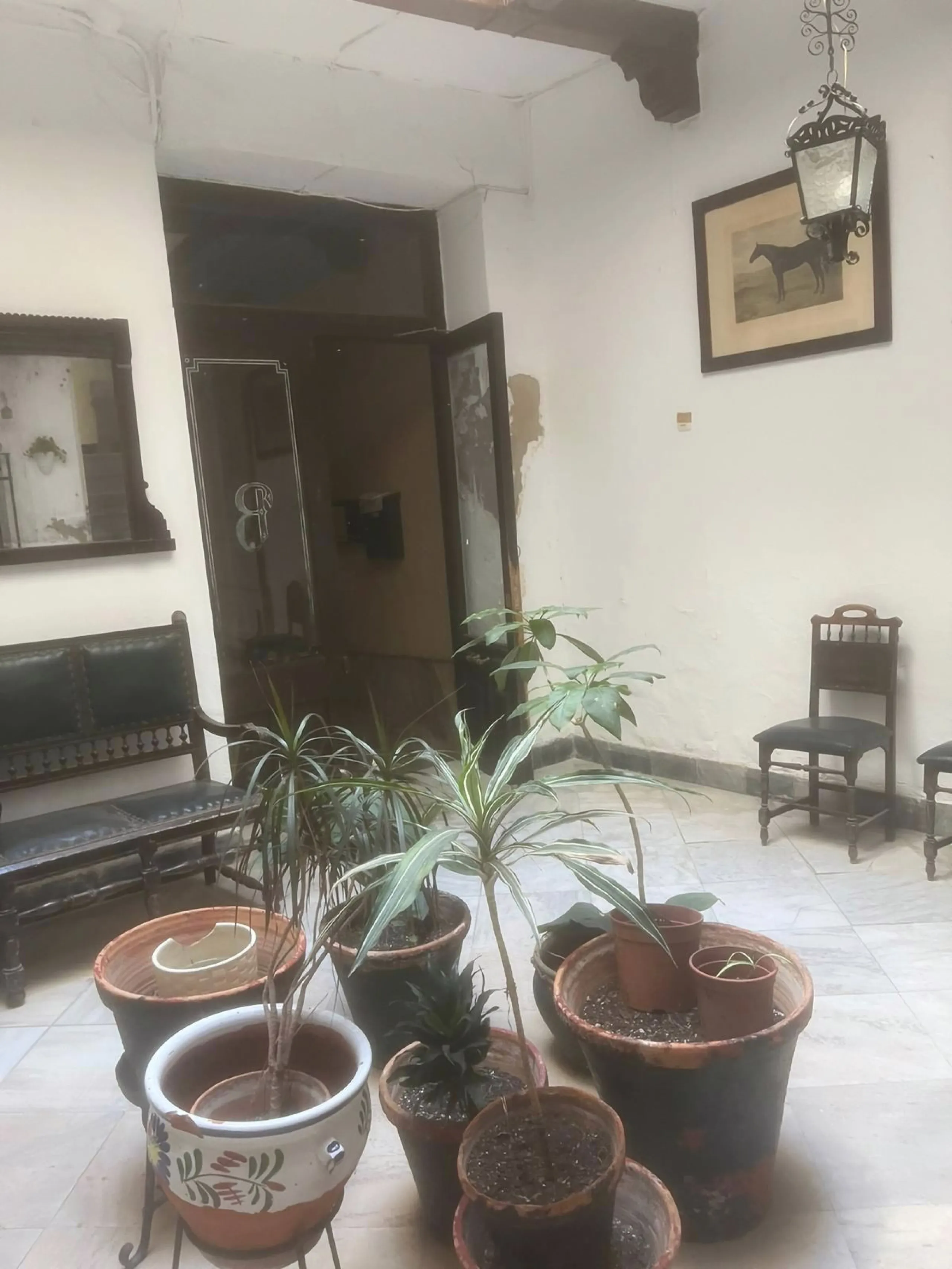 INVESTMENT OPPORTUNITY, MÁLAGA CITY CENTER, FOR SALE bare ownership (The owner is 93 years old)
