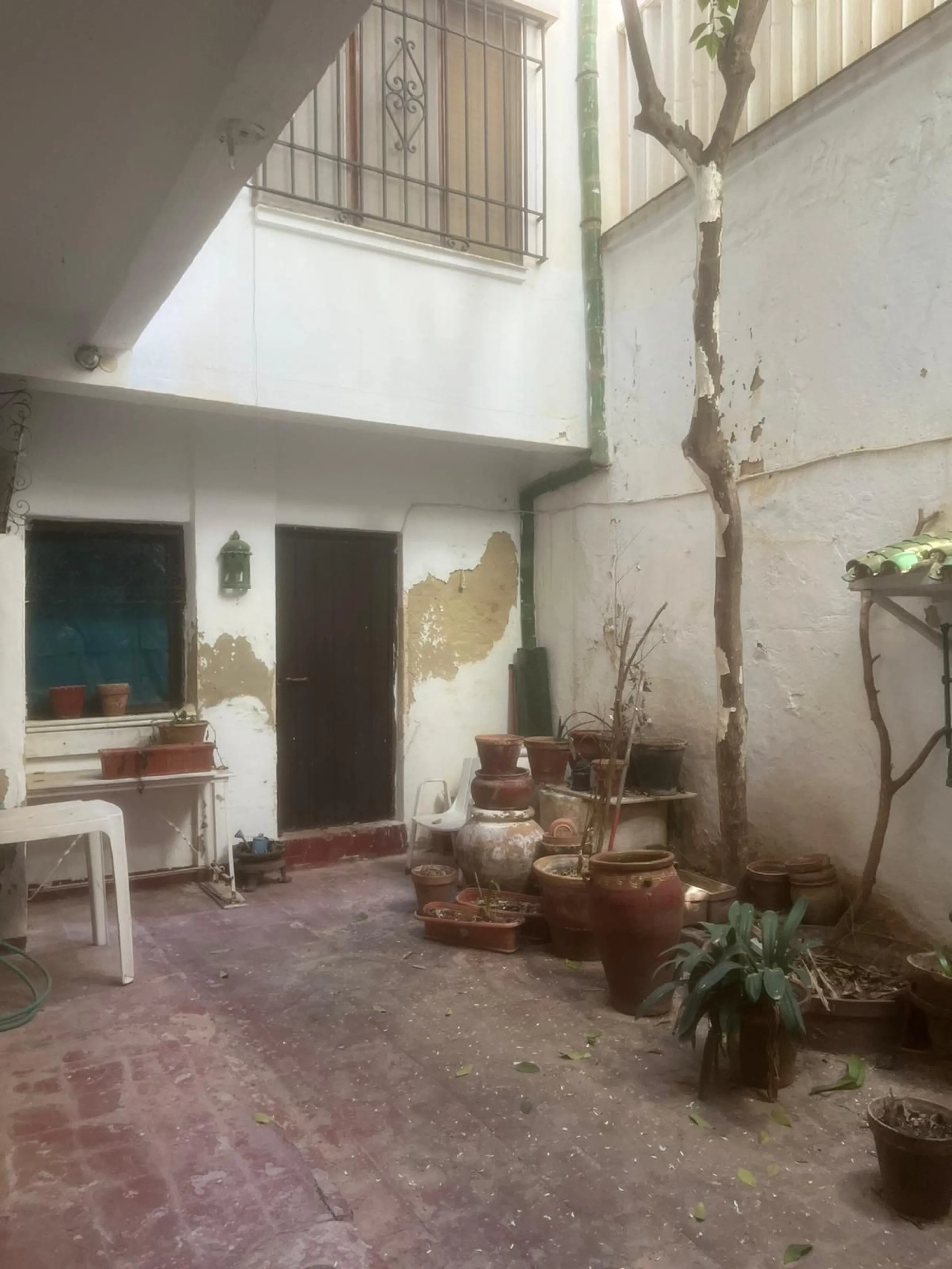 INVESTMENT OPPORTUNITY, MÁLAGA CITY CENTER, FOR SALE bare ownership (The owner is 93 years old)