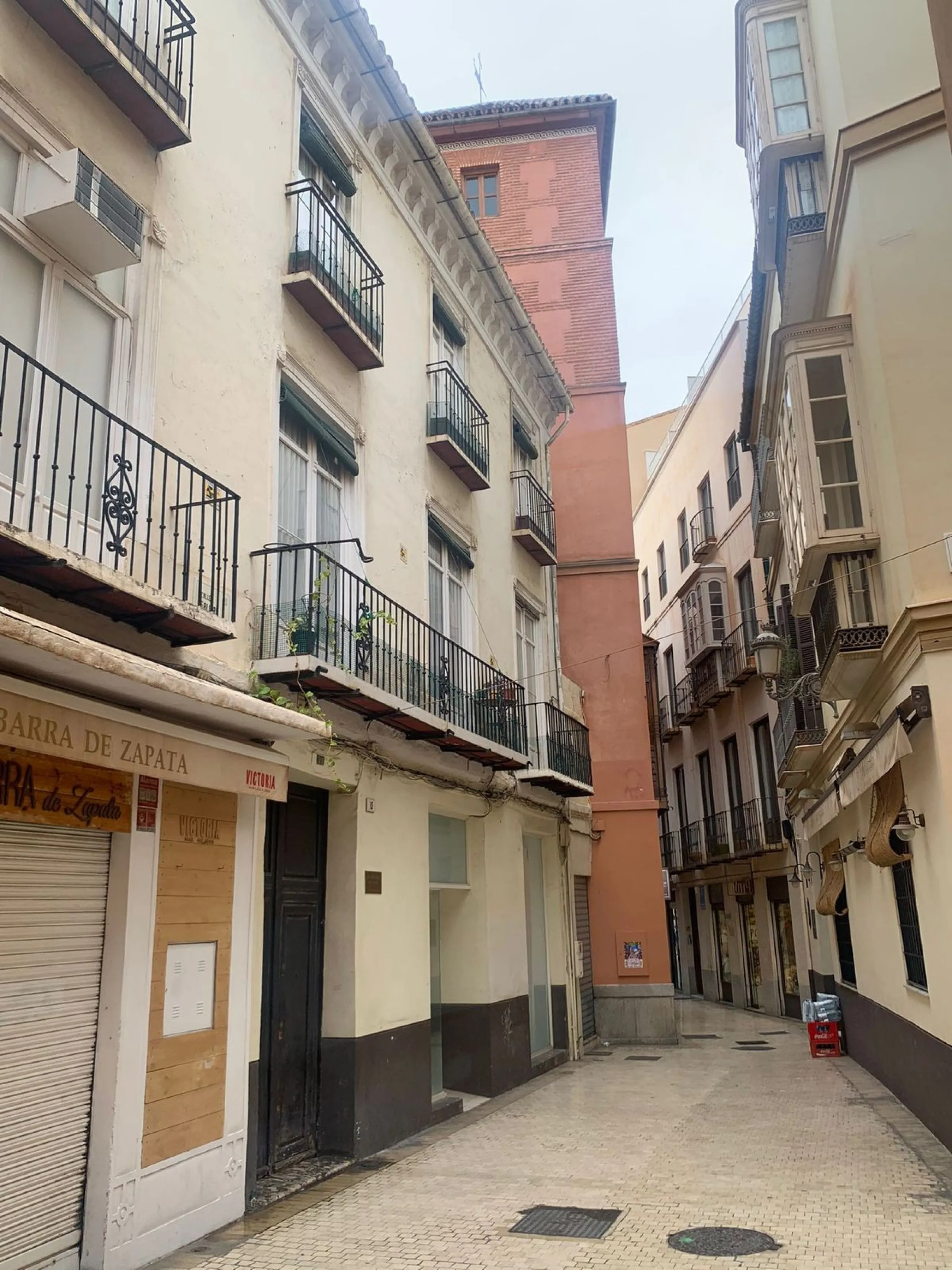 INVESTMENT OPPORTUNITY, MÁLAGA CITY CENTER, FOR SALE bare ownership (The owner is 93 years old)