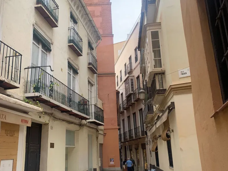 INVESTMENT OPPORTUNITY, MÁLAGA CITY CENTER, FOR SALE bare ownership (The owner is 93 years old)