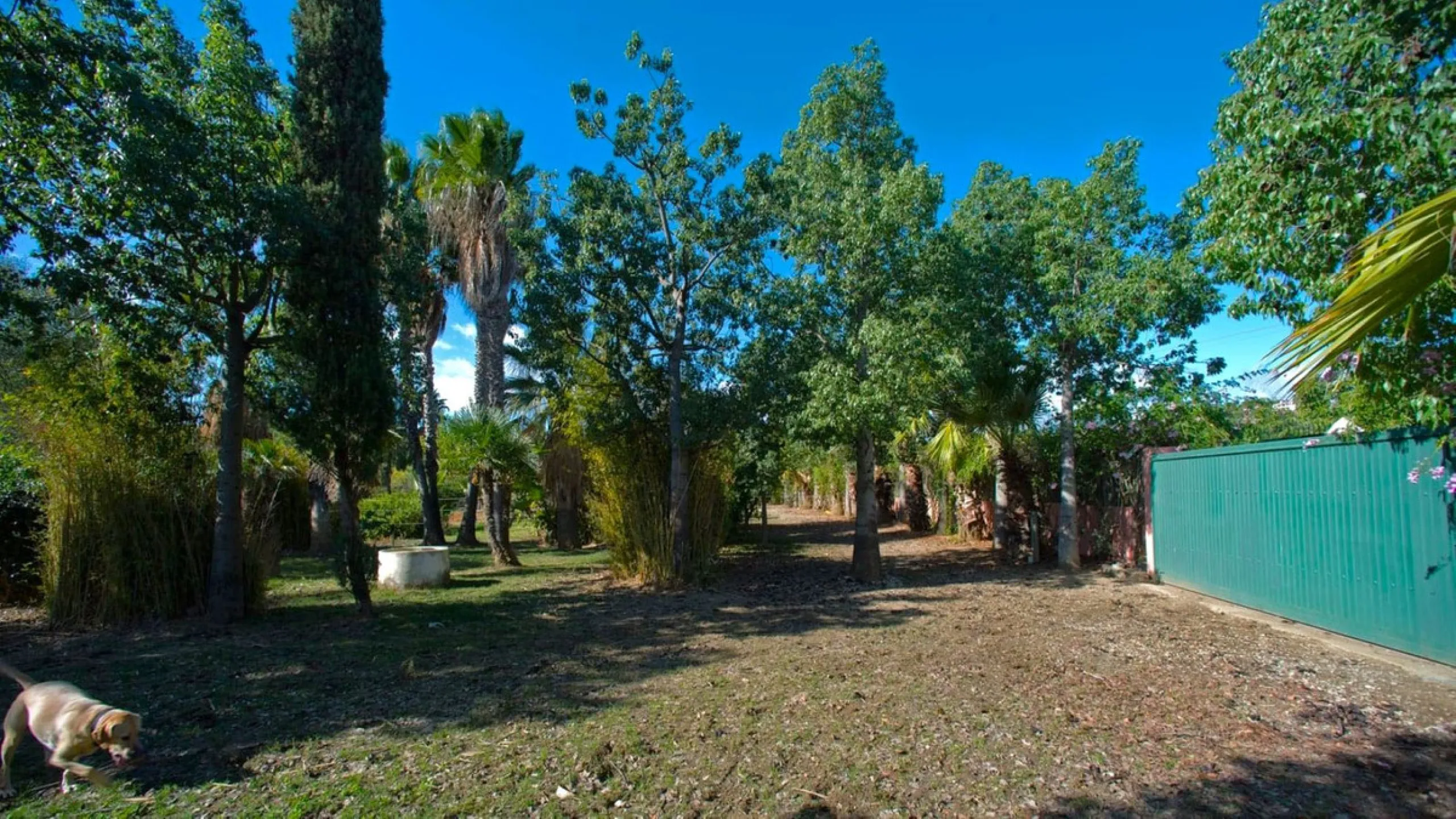 BEAUTIFUL VILLA WITH A LARGE PLOT OF 4.000 M2. With an excellent location, for people who are looking to live surrounded by nature and at the same time close to the city. Only 5 minutes driving from the beautiful centre of Estepona and its fantastic beach