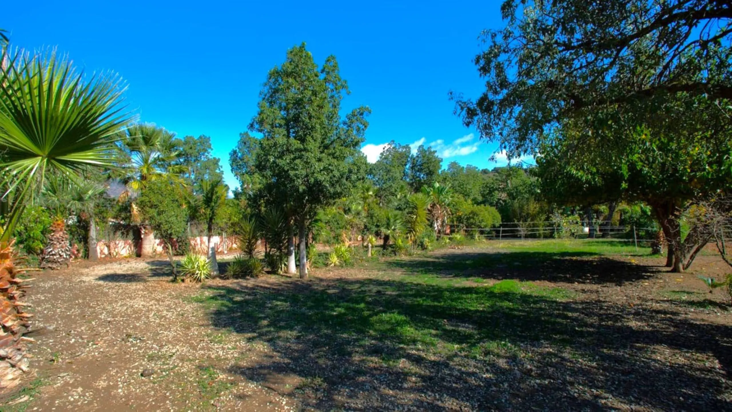 BEAUTIFUL VILLA WITH A LARGE PLOT OF 4.000 M2. With an excellent location, for people who are looking to live surrounded by nature and at the same time close to the city. Only 5 minutes driving from the beautiful centre of Estepona and its fantastic beach