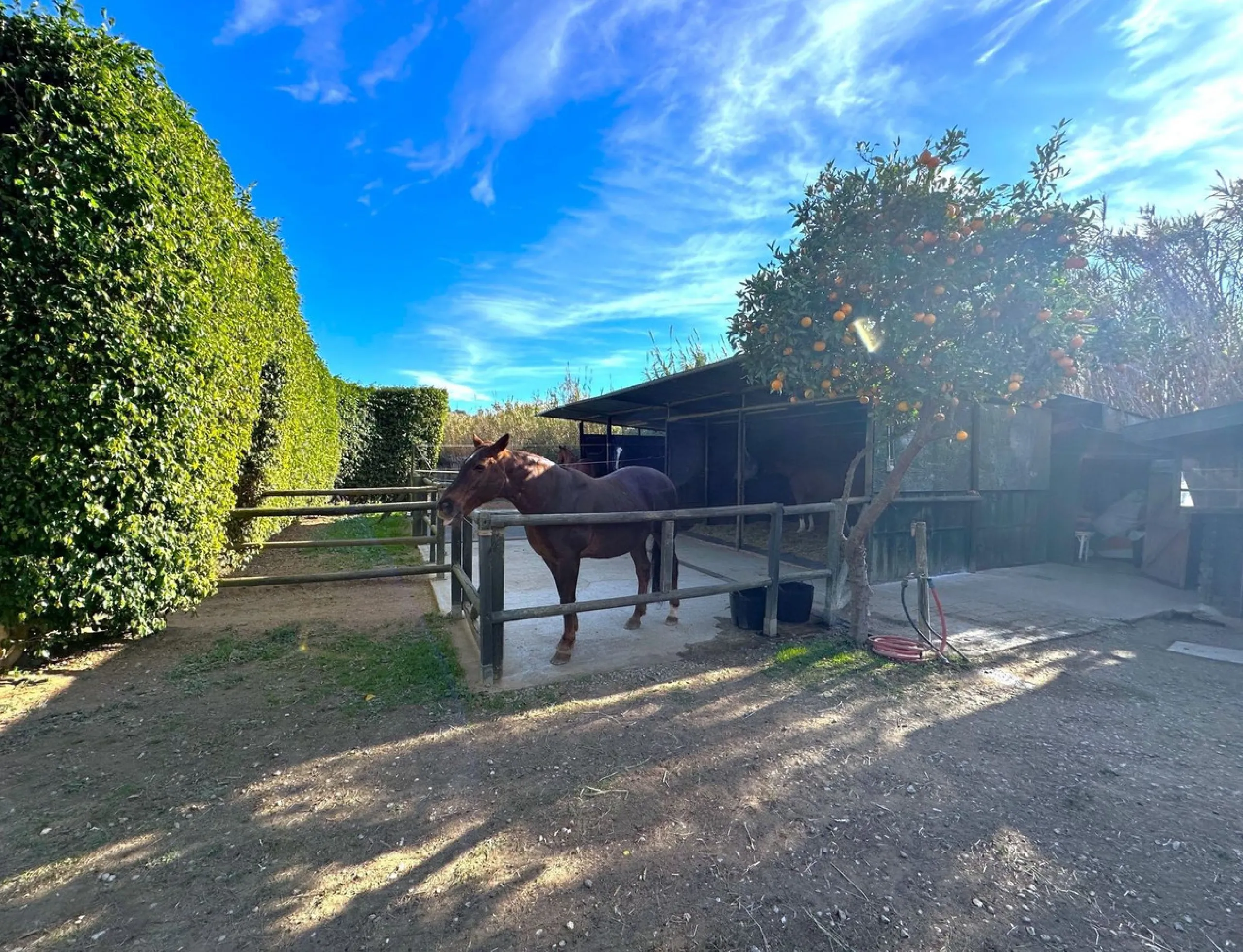 BEAUTIFUL VILLA WITH A LARGE PLOT OF 4.000 M2. With an excellent location, for people who are looking to live surrounded by nature and at the same time close to the city. Only 5 minutes driving from the beautiful centre of Estepona and its fantastic beach