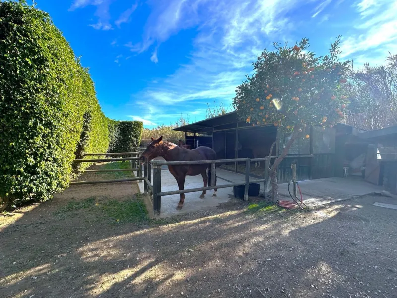 BEAUTIFUL VILLA WITH A LARGE PLOT OF 4.000 M2. With an excellent location, for people who are looking to live surrounded by nature and at the same time close to the city. Only 5 minutes driving from the beautiful centre of Estepona and its fantastic beach