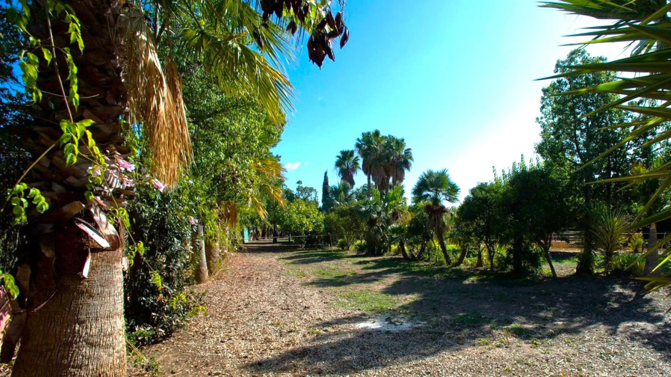 BEAUTIFUL VILLA WITH A LARGE PLOT OF 4.000 M2. With an excellent location, for people who are looking to live surrounded by nature and at the same time close to the city. Only 5 minutes driving from the beautiful centre of Estepona and its fantastic beach