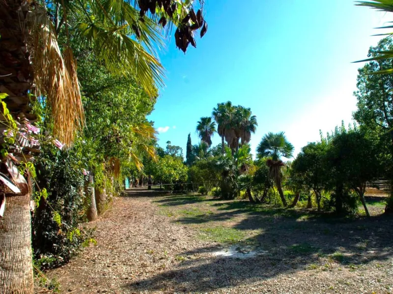 BEAUTIFUL VILLA WITH A LARGE PLOT OF 4.000 M2. With an excellent location, for people who are looking to live surrounded by nature and at the same time close to the city. Only 5 minutes driving from the beautiful centre of Estepona and its fantastic beach