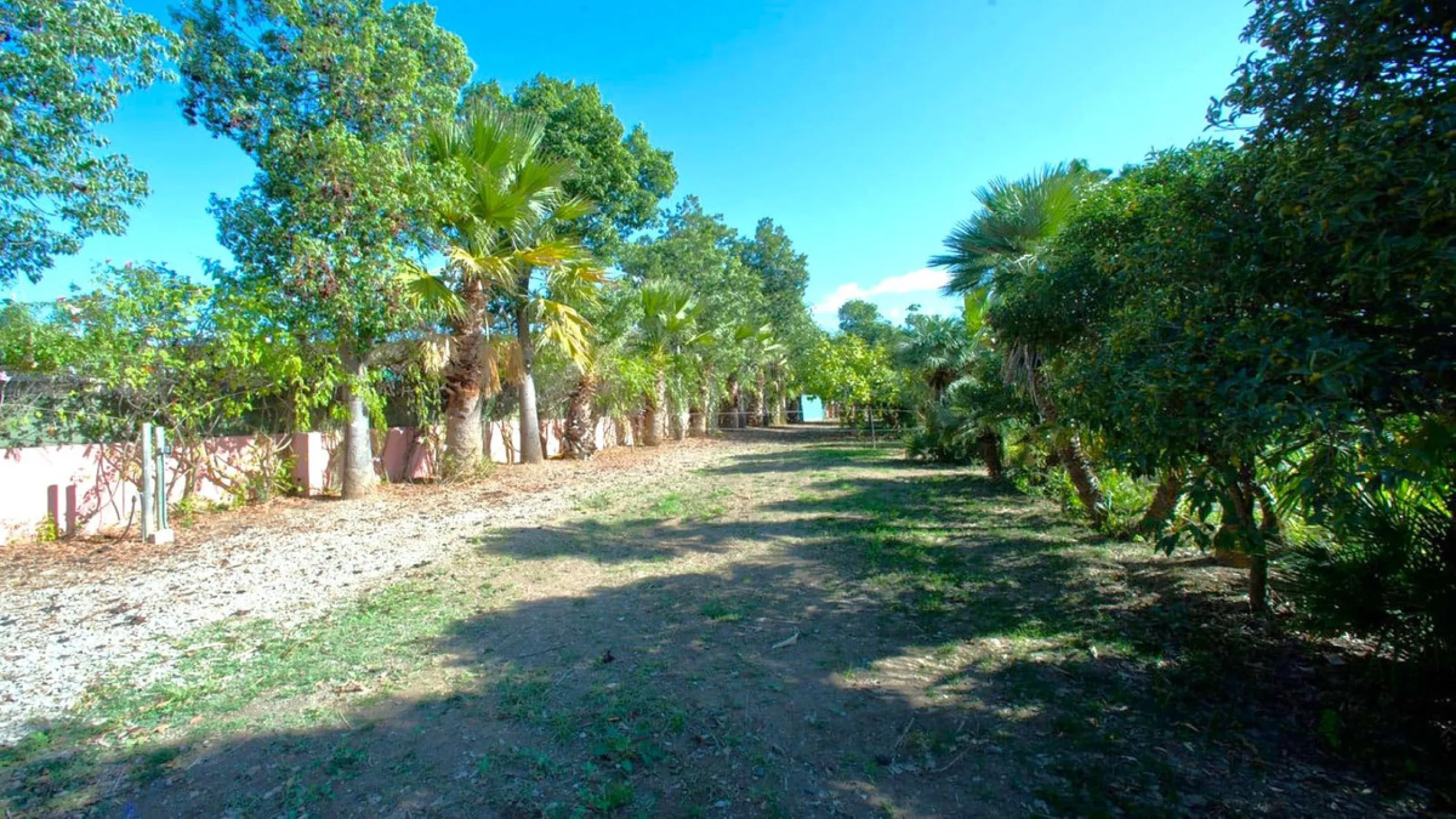 BEAUTIFUL VILLA WITH A LARGE PLOT OF 4.000 M2. With an excellent location, for people who are looking to live surrounded by nature and at the same time close to the city. Only 5 minutes driving from the beautiful centre of Estepona and its fantastic beach