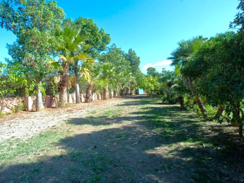 BEAUTIFUL VILLA WITH A LARGE PLOT OF 4.000 M2. With an excellent location, for people who are looking to live surrounded by nature and at the same time close to the city. Only 5 minutes driving from the beautiful centre of Estepona and its fantastic beach
