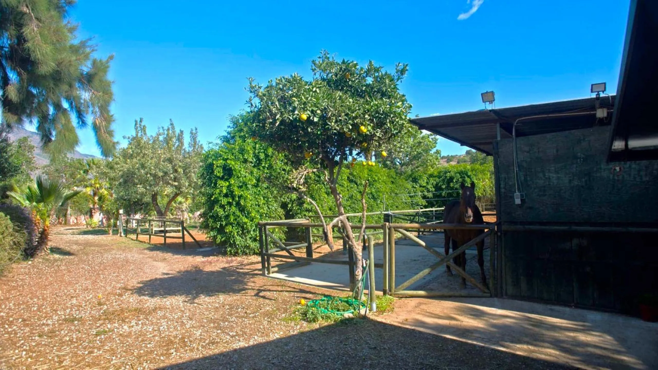 BEAUTIFUL VILLA WITH A LARGE PLOT OF 4.000 M2. With an excellent location, for people who are looking to live surrounded by nature and at the same time close to the city. Only 5 minutes driving from the beautiful centre of Estepona and its fantastic beach