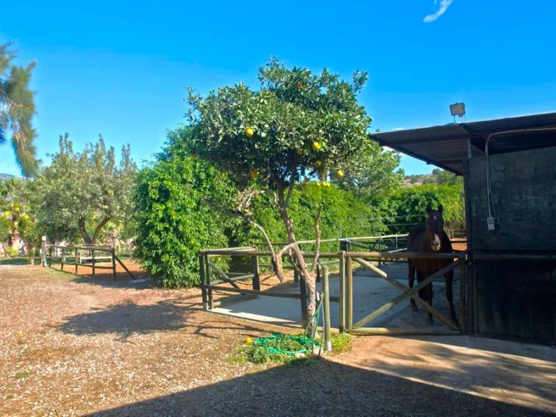 BEAUTIFUL VILLA WITH A LARGE PLOT OF 4.000 M2. With an excellent location, for people who are looking to live surrounded by nature and at the same time close to the city. Only 5 minutes driving from the beautiful centre of Estepona and its fantastic beach