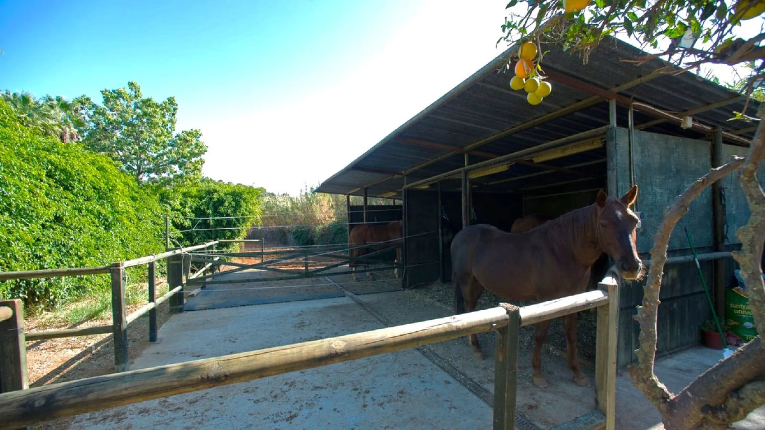 BEAUTIFUL VILLA WITH A LARGE PLOT OF 4.000 M2. With an excellent location, for people who are looking to live surrounded by nature and at the same time close to the city. Only 5 minutes driving from the beautiful centre of Estepona and its fantastic beach