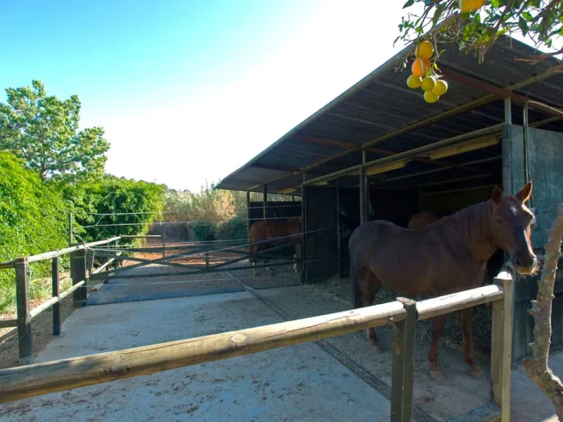 BEAUTIFUL VILLA WITH A LARGE PLOT OF 4.000 M2. With an excellent location, for people who are looking to live surrounded by nature and at the same time close to the city. Only 5 minutes driving from the beautiful centre of Estepona and its fantastic beach
