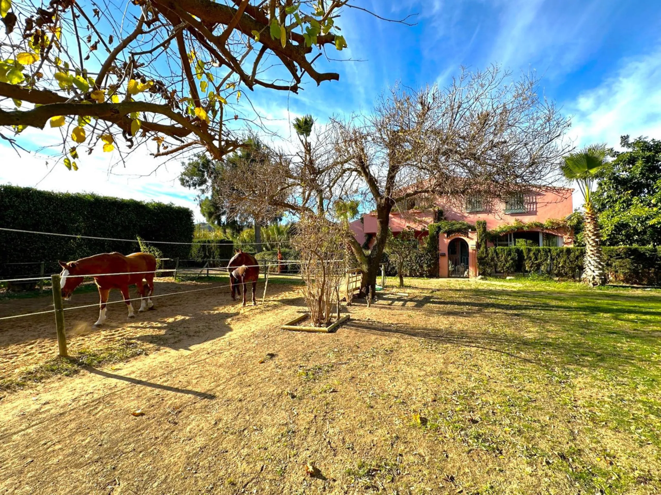 BEAUTIFUL VILLA WITH A LARGE PLOT OF 4.000 M2. With an excellent location, for people who are looking to live surrounded by nature and at the same time close to the city. Only 5 minutes driving from the beautiful centre of Estepona and its fantastic beach