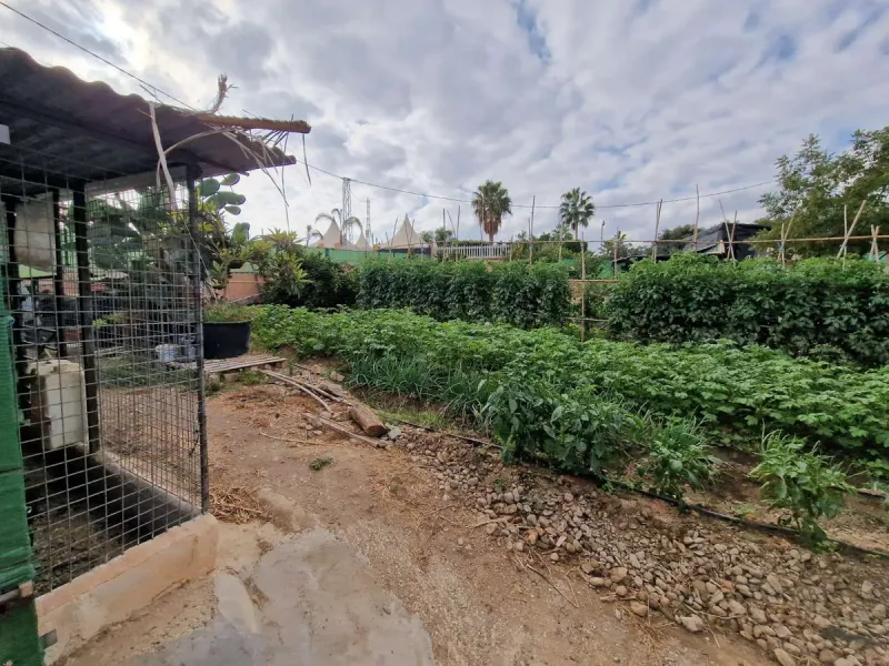 Rural property for sale in Alhaurín de la Torre with a tourist license located in the Romeral area on a 3000m2 plot, with 3 independent houses, swimming pool and gardens shared between the homes.