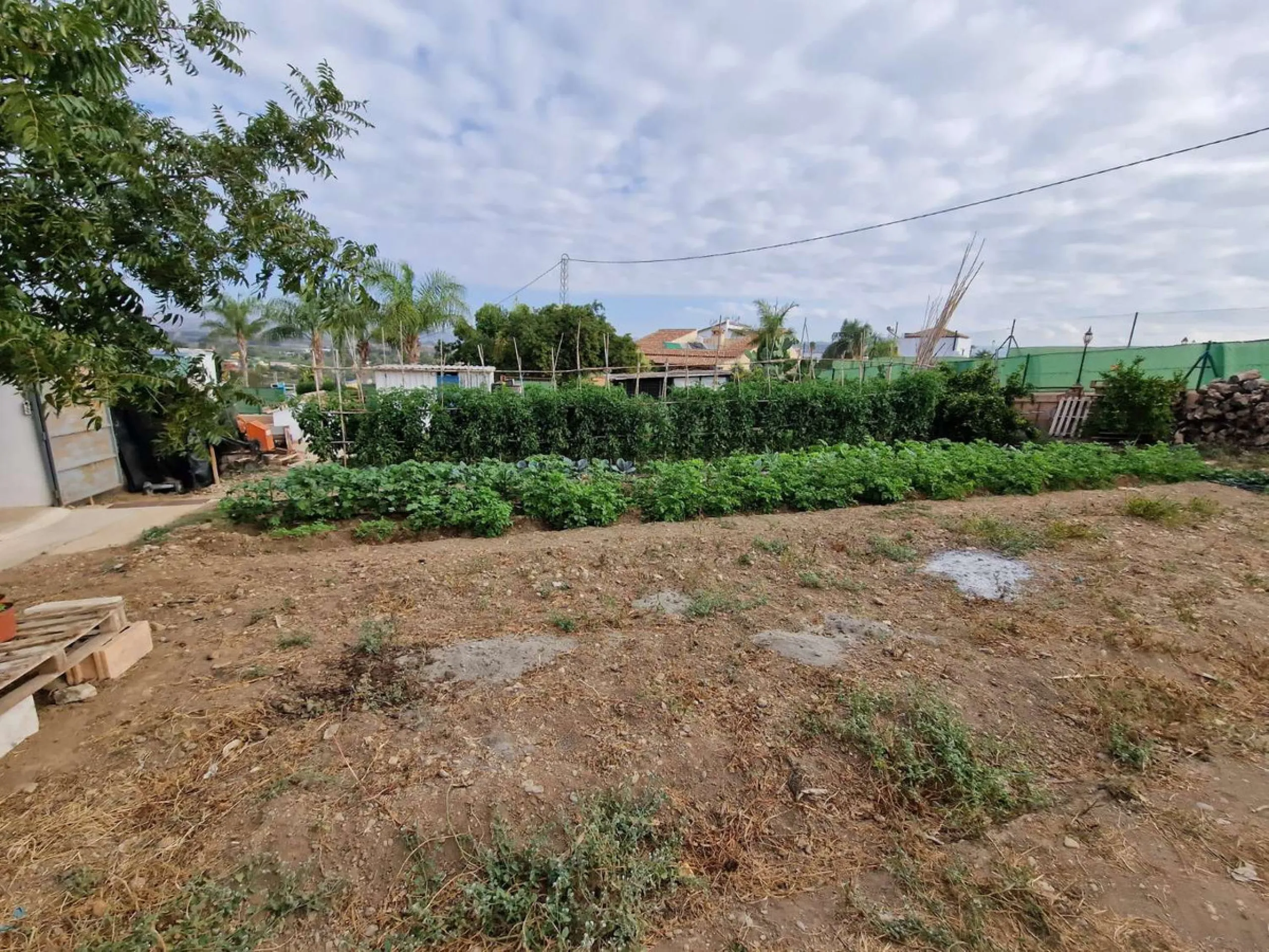 Rural property for sale in Alhaurín de la Torre with a tourist license located in the Romeral area on a 3000m2 plot, with 3 independent houses, swimming pool and gardens shared between the homes.