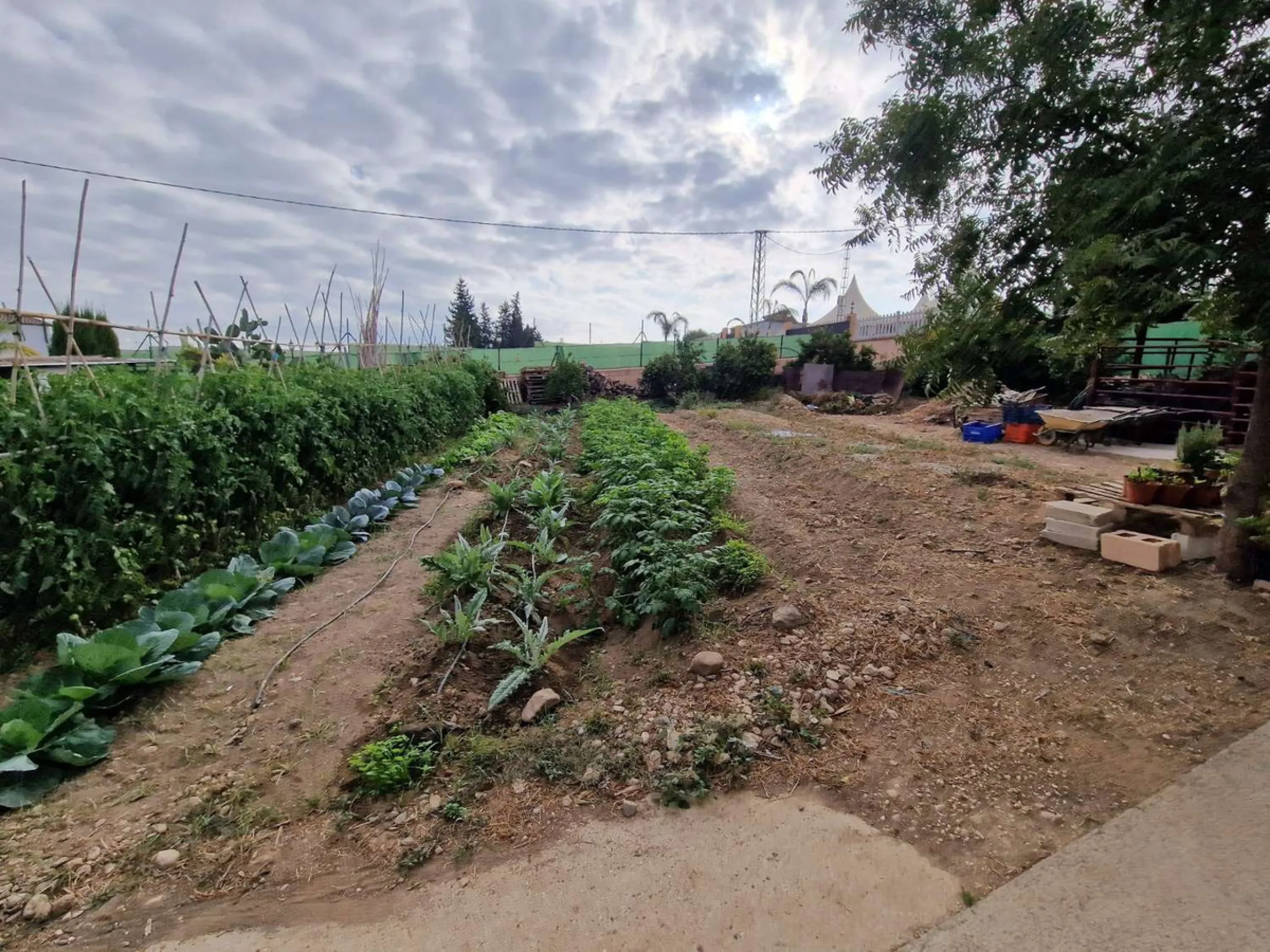 Rural property for sale in Alhaurín de la Torre with a tourist license located in the Romeral area on a 3000m2 plot, with 3 independent houses, swimming pool and gardens shared between the homes.