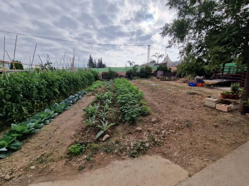 Rural property for sale in Alhaurín de la Torre with a tourist license located in the Romeral area on a 3000m2 plot, with 3 independent houses, swimming pool and gardens shared between the homes.