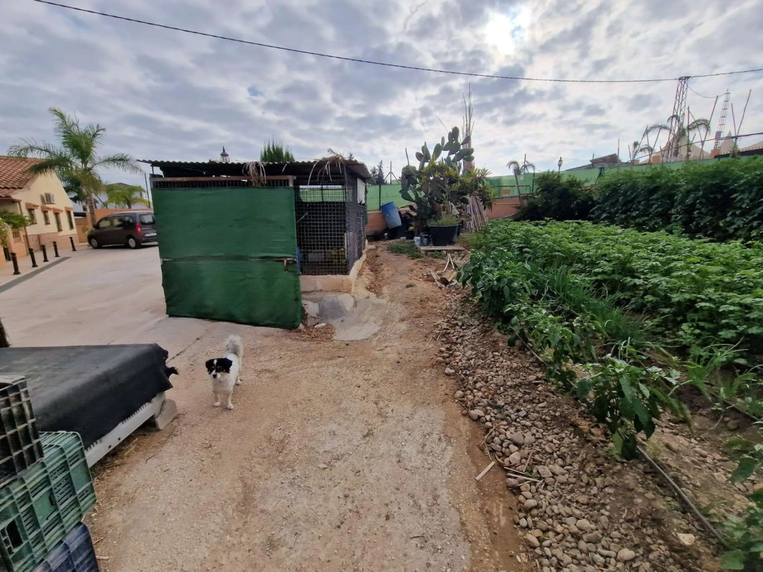 Rural property for sale in Alhaurín de la Torre with a tourist license located in the Romeral area on a 3000m2 plot, with 3 independent houses, swimming pool and gardens shared between the homes.