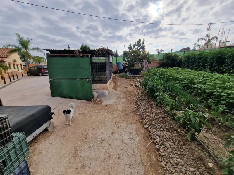 Rural property for sale in Alhaurín de la Torre with a tourist license located in the Romeral area on a 3000m2 plot, with 3 independent houses, swimming pool and gardens shared between the homes.