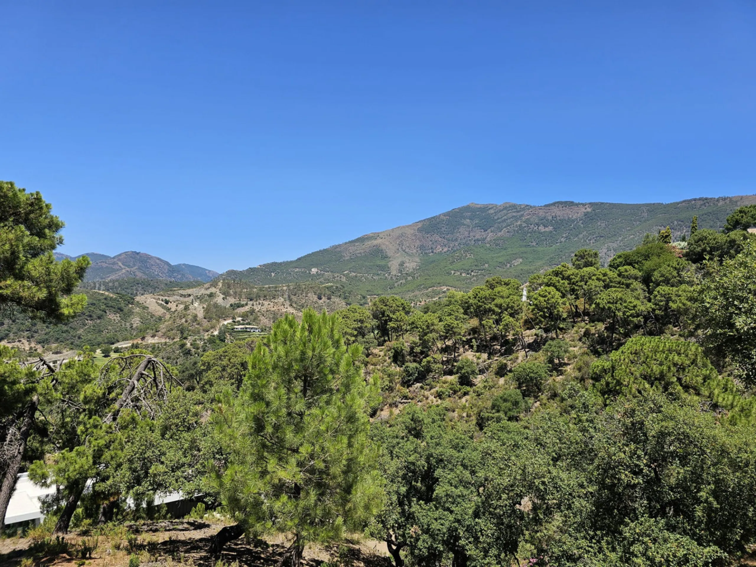 Discover an exquisite opportunity with this spacious plot located in La Zagaleta, known as one of the most exclusive urbanizations in the world. With expansive unobstructed views of majestic mountain scenery and an evergreen forest area, where deer can be