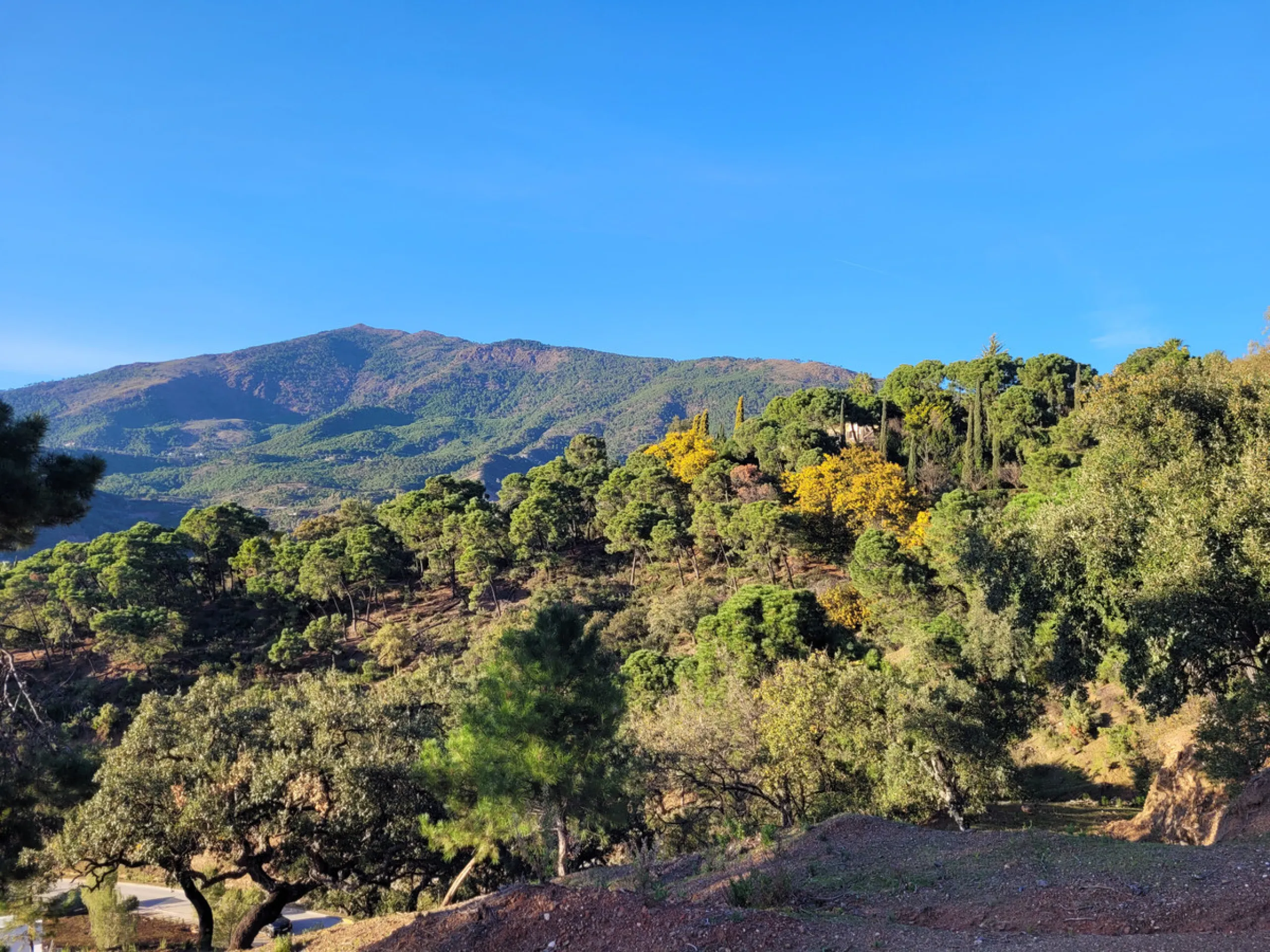 Discover an exquisite opportunity with this spacious plot located in La Zagaleta, known as one of the most exclusive urbanizations in the world. With expansive unobstructed views of majestic mountain scenery and an evergreen forest area, where deer can be