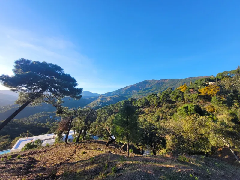 Discover an exquisite opportunity with this spacious plot located in La Zagaleta, known as one of the most exclusive urbanizations in the world. With expansive unobstructed views of majestic mountain scenery and an evergreen forest area, where deer can be