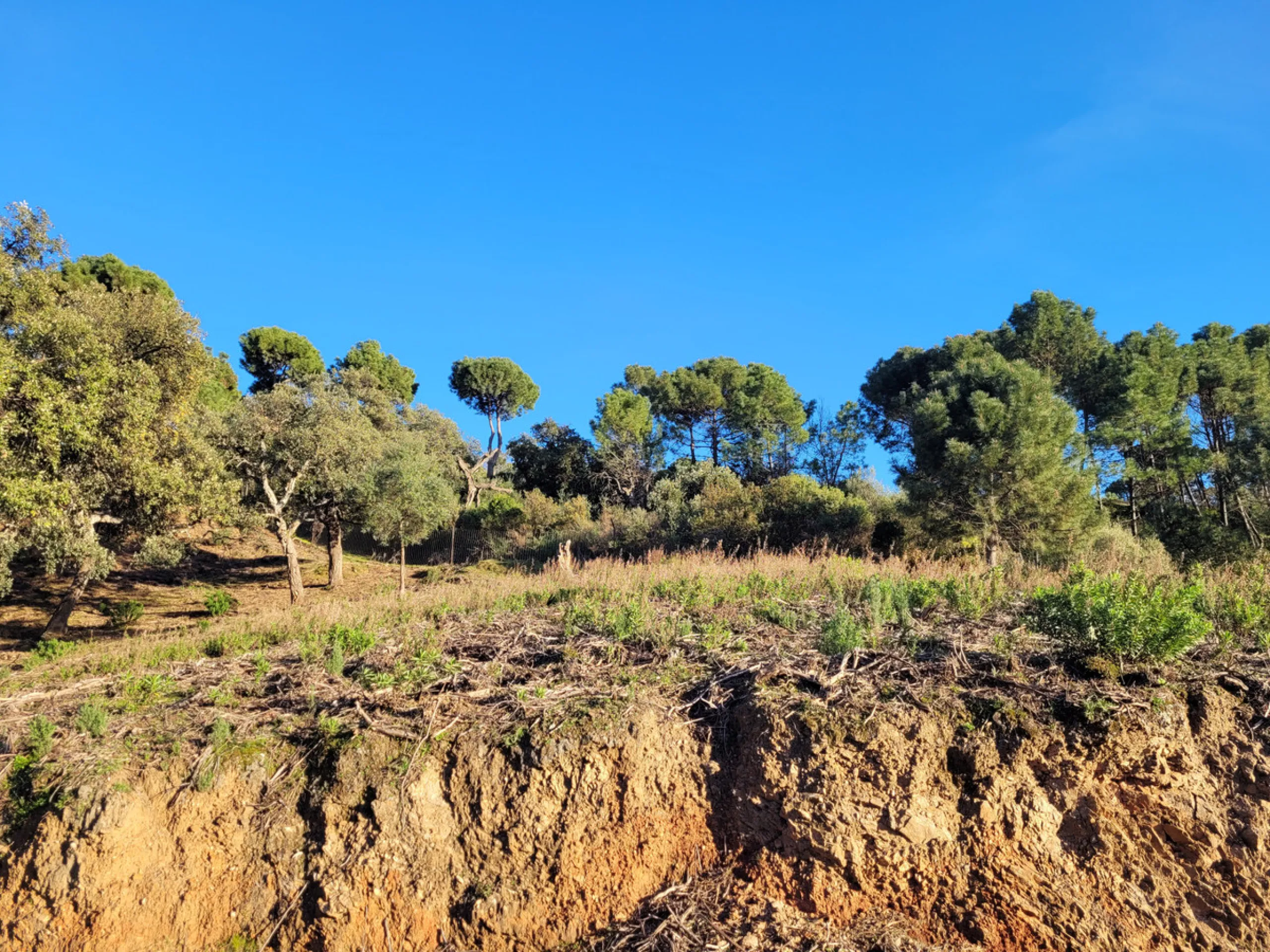 Discover an exquisite opportunity with this spacious plot located in La Zagaleta, known as one of the most exclusive urbanizations in the world. With expansive unobstructed views of majestic mountain scenery and an evergreen forest area, where deer can be