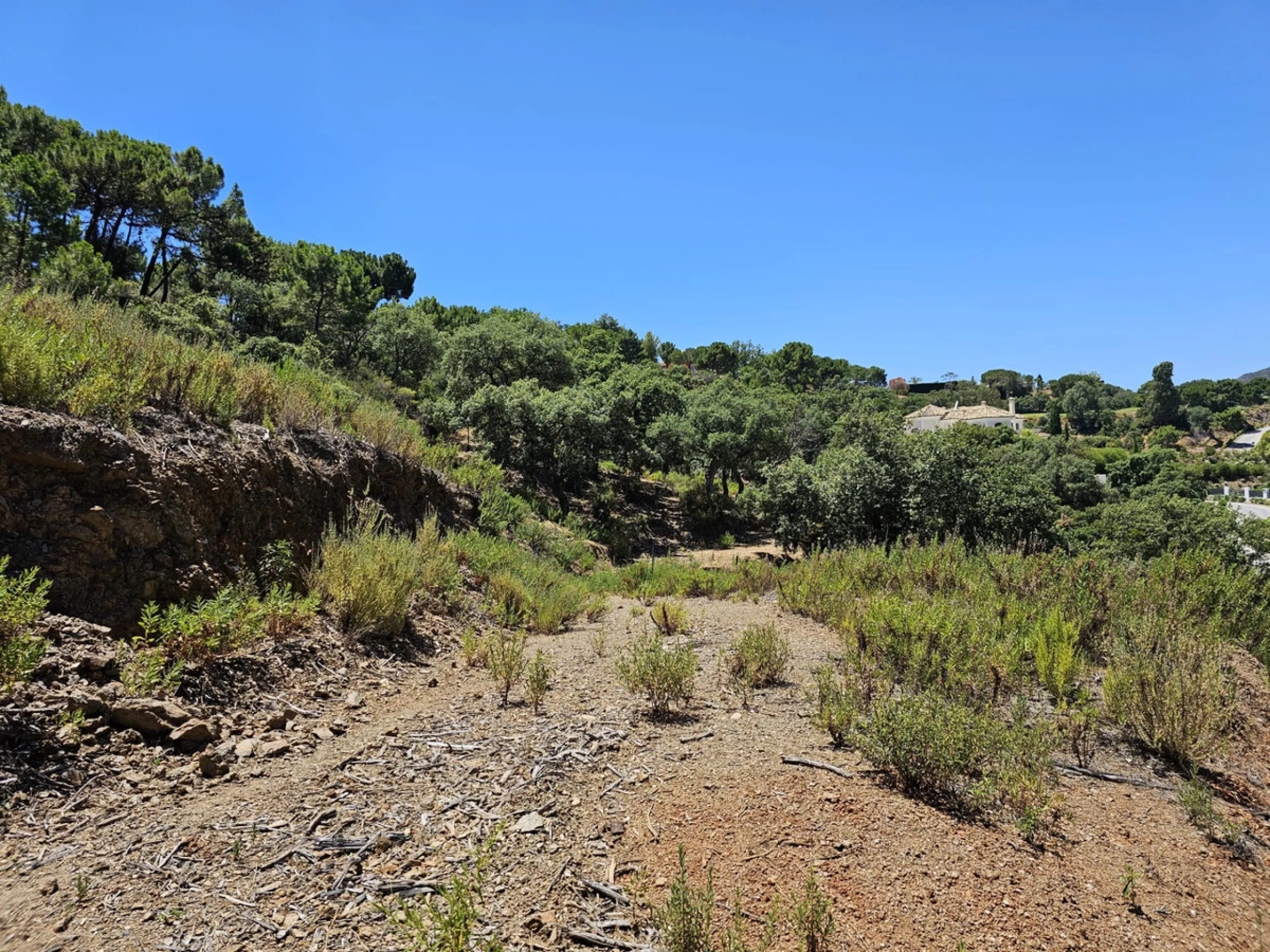 Discover an exquisite opportunity with this spacious plot located in La Zagaleta, known as one of the most exclusive urbanizations in the world. With expansive unobstructed views of majestic mountain scenery and an evergreen forest area, where deer can be