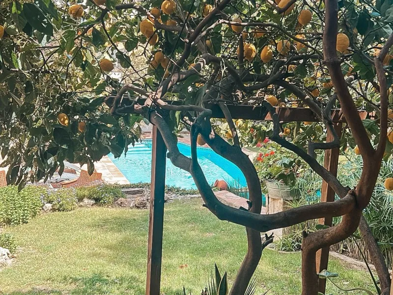 Diese außergewöhnliche Villa in der begehrten Wohngegend Los Jazmines von San Pedro de Alcantara, Malaga, bietet eine ausgezeichnete Gelegenheit für Wohnzwecke oder eine rentable Investition. Das Objekt verfügt über einen gültigen