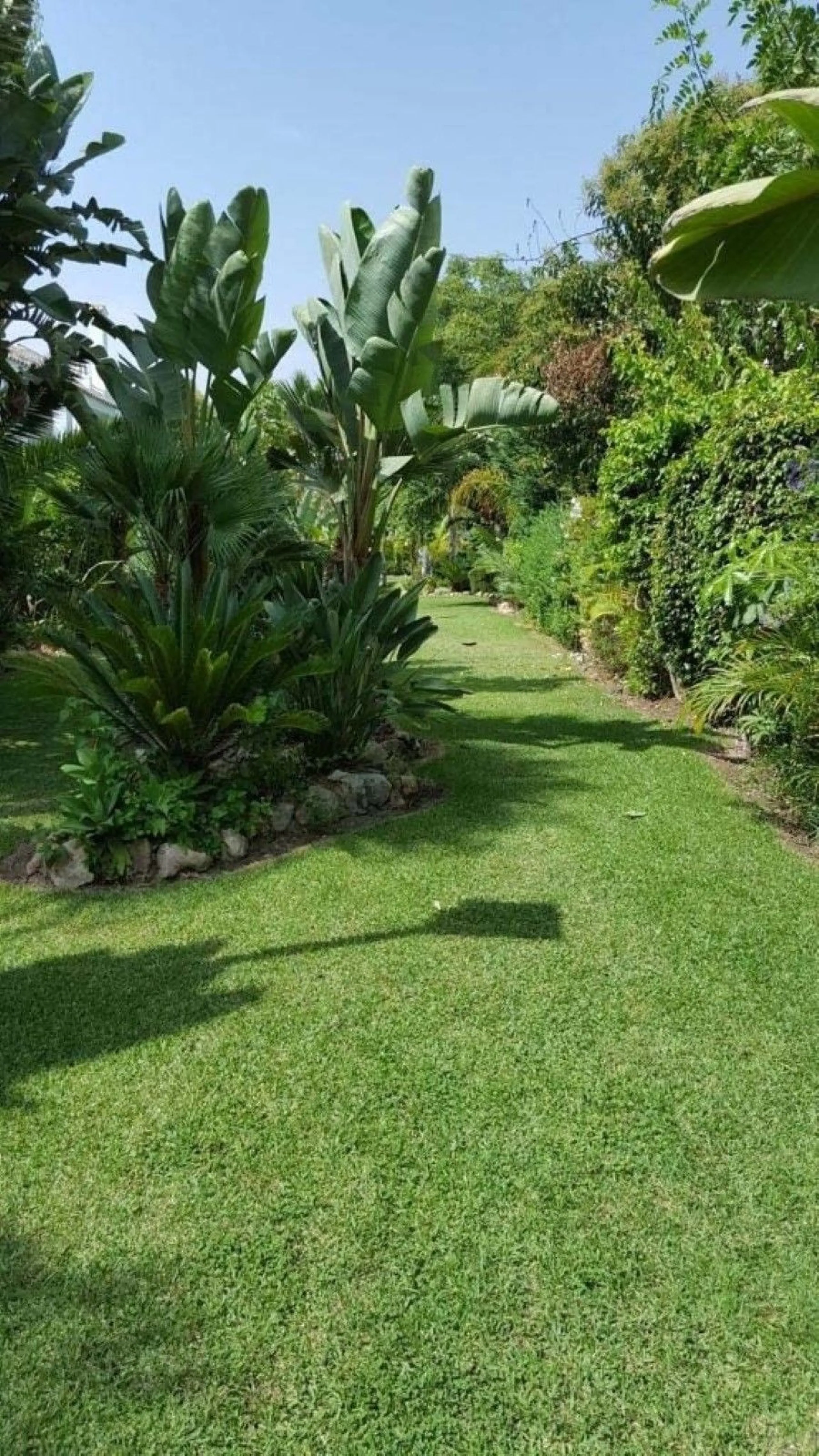 Fantastic townhouse for sale in Los Naranjos. It has 4 bedrooms, 2 bathrooms, guest toilette, spacious lounge and dining area with big porche, fully fitted kitchen, another porche at the entrance and 2 terraces. The complex has very nice pool and garden a