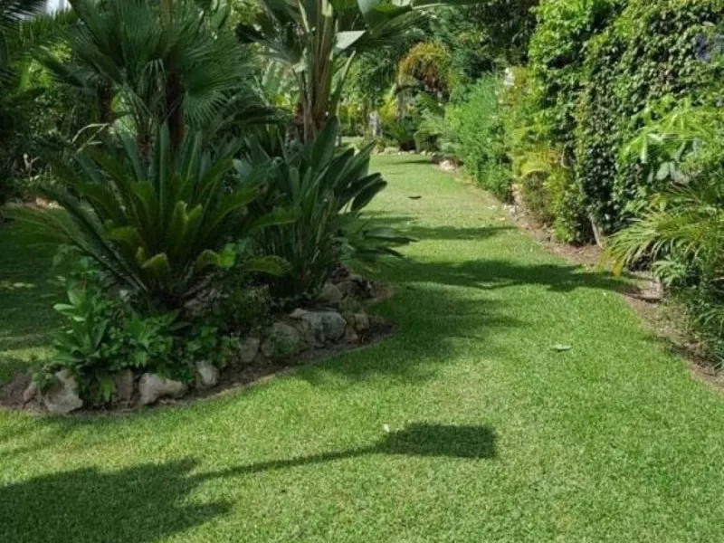 Fantastic townhouse for sale in Los Naranjos. It has 4 bedrooms, 2 bathrooms, guest toilette, spacious lounge and dining area with big porche, fully fitted kitchen, another porche at the entrance and 2 terraces. The complex has very nice pool and garden a