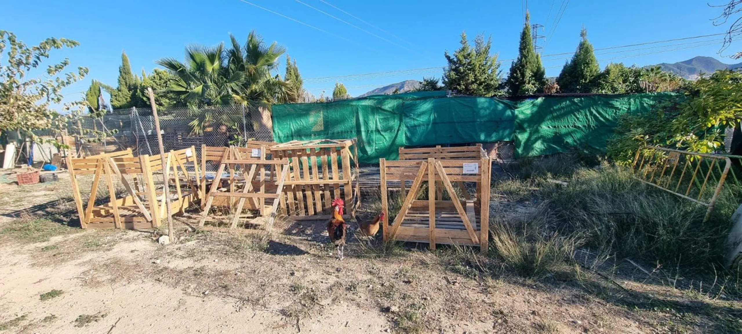 Irrigated farm with well water all year round and registered in the SAT irrigation community with the right to 30'
