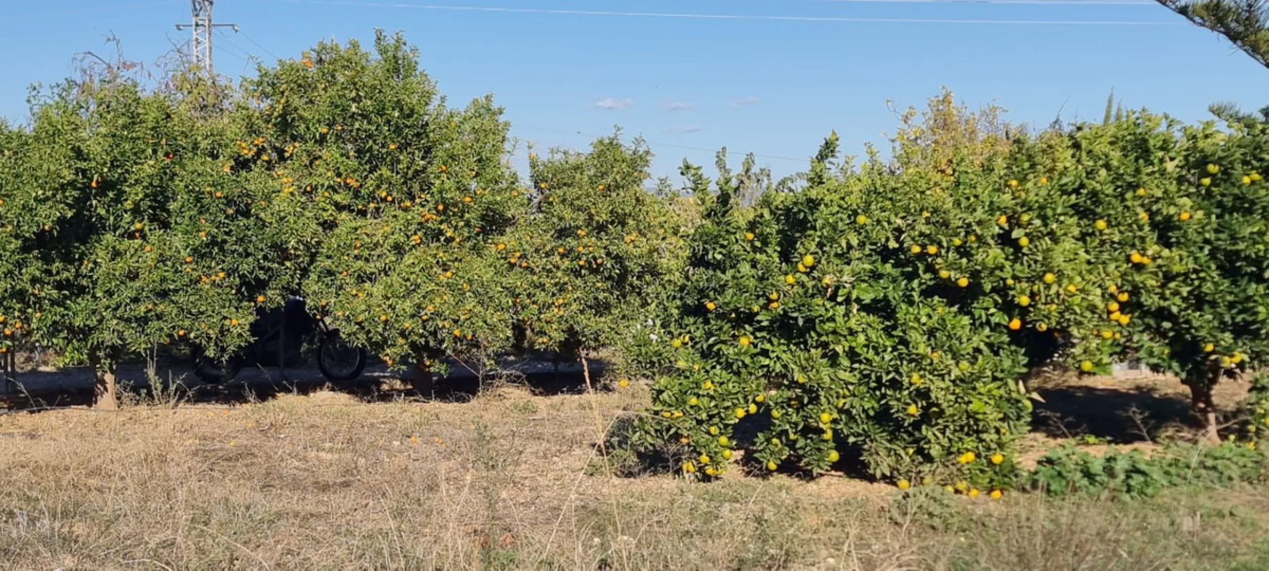 Irrigated farm with well water all year round and registered in the SAT irrigation community with the right to 30'