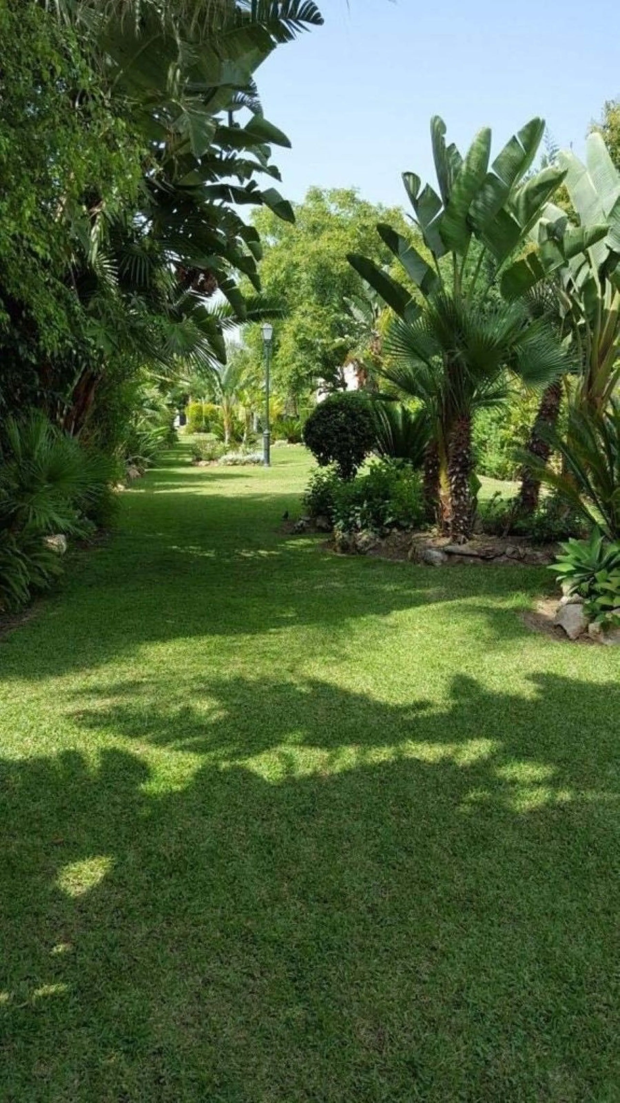 Fantastic townhouse for sale in Los Naranjos. It has 4 bedrooms, 2 bathrooms, guest toilette, spacious lounge and dining area with big porche, fully fitted kitchen, another porche at the entrance and 2 terraces. The complex has very nice pool and garden a