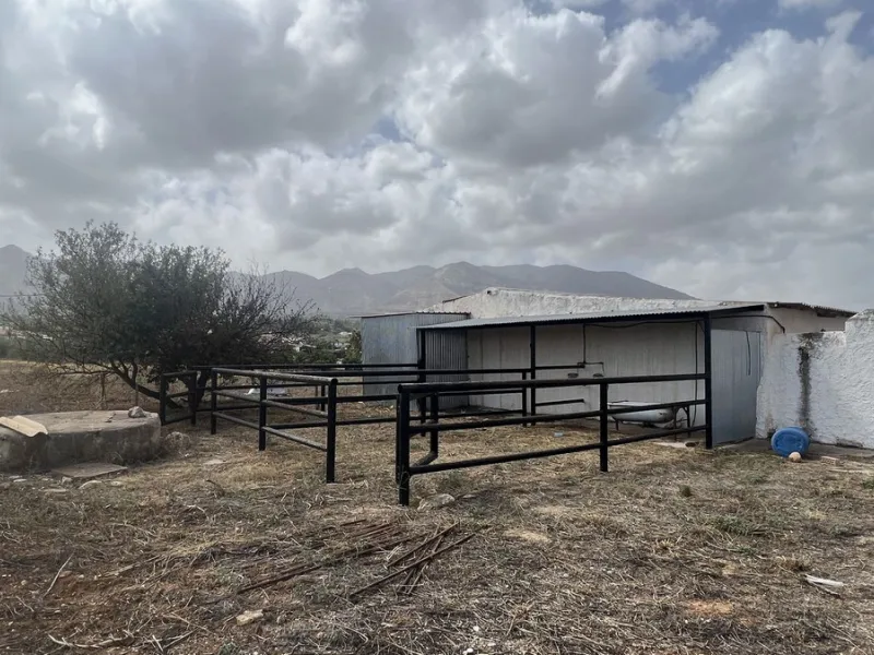 House - Finca - Cortijo в продаже в Alhaurín de la Torre, Málaga. В доме 8 спален и 2 ванных комнат. Площадь дома 489 м². Площадь участка 28447 м²