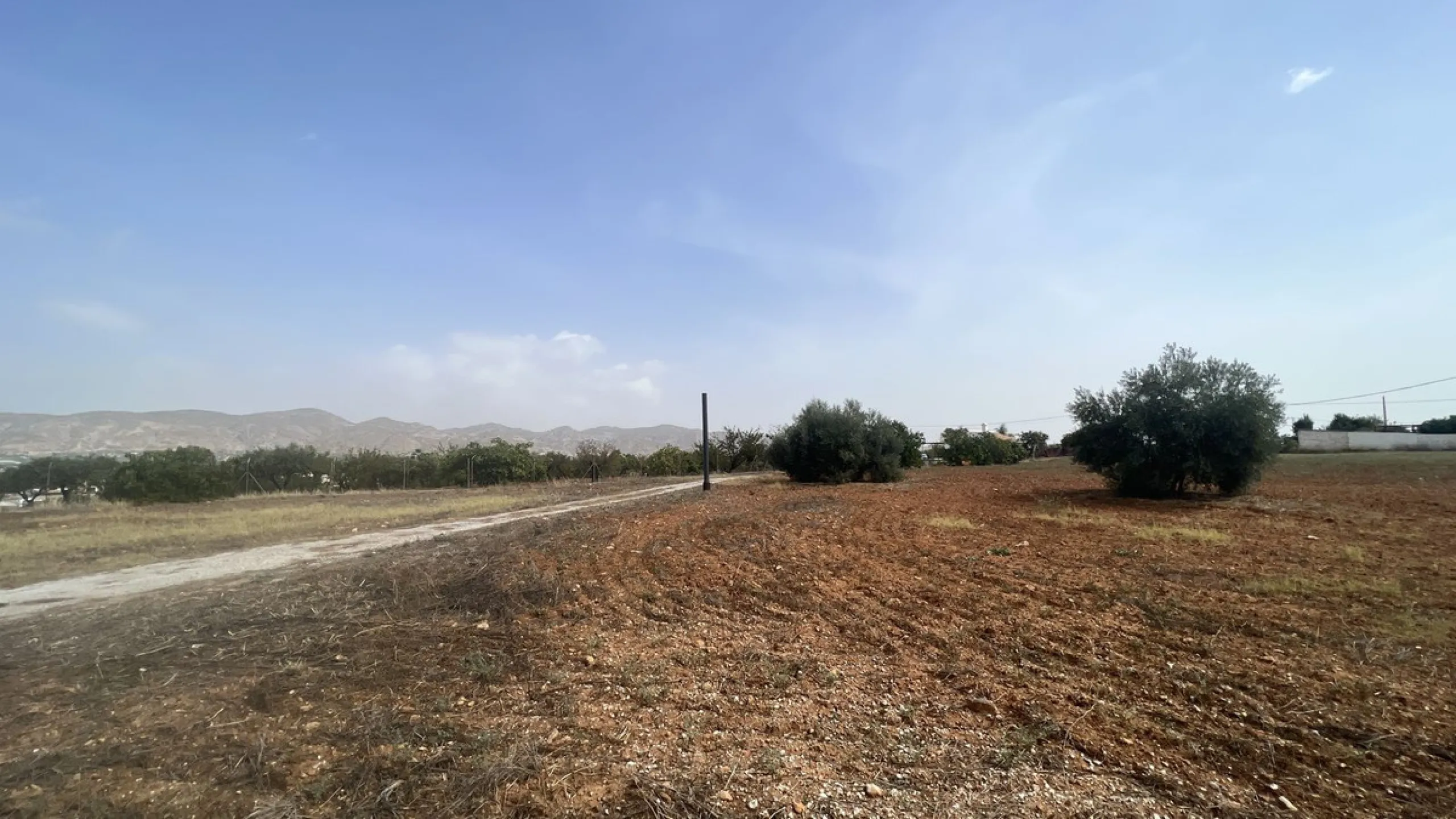 House - Finca - Cortijo в продаже в Alhaurín de la Torre, Málaga. В доме 8 спален и 2 ванных комнат. Площадь дома 489 м². Площадь участка 28447 м²