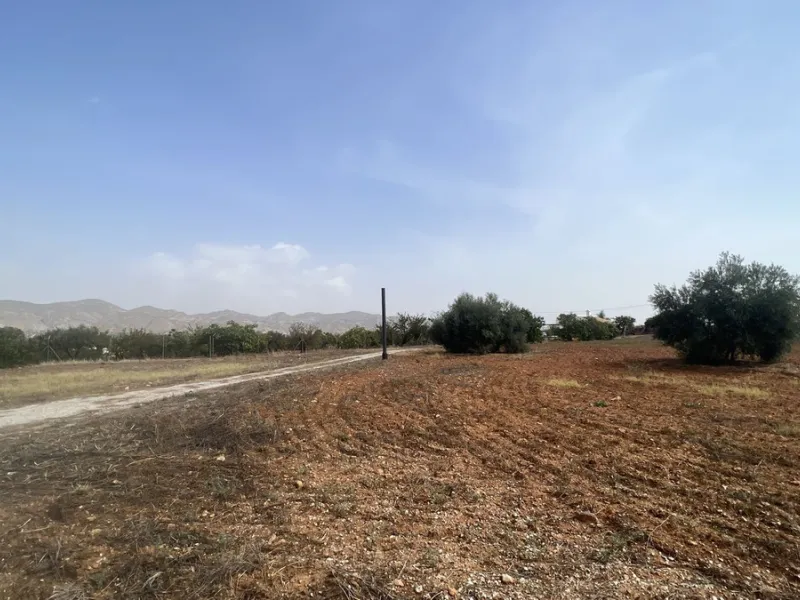 House - Finca - Cortijo в продаже в Alhaurín de la Torre, Málaga. В доме 8 спален и 2 ванных комнат. Площадь дома 489 м². Площадь участка 28447 м²