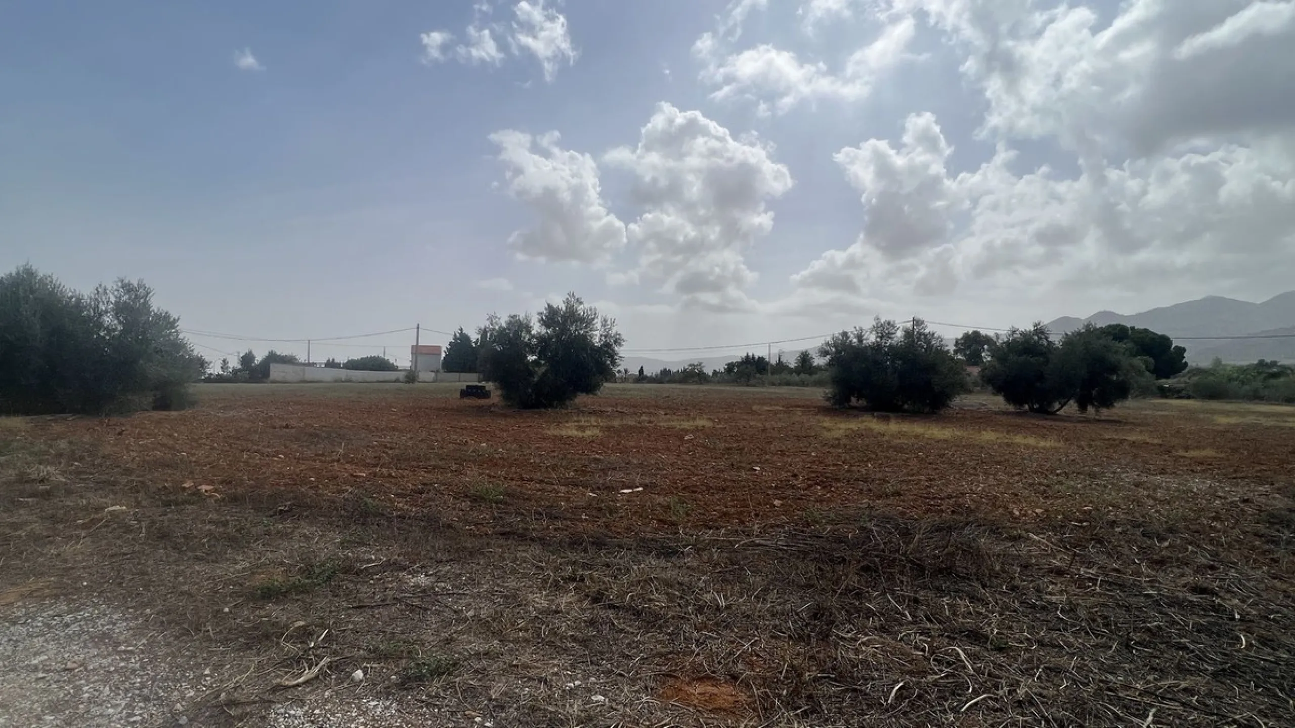 House - Finca - Cortijo в продаже в Alhaurín de la Torre, Málaga. В доме 8 спален и 2 ванных комнат. Площадь дома 489 м². Площадь участка 28447 м²